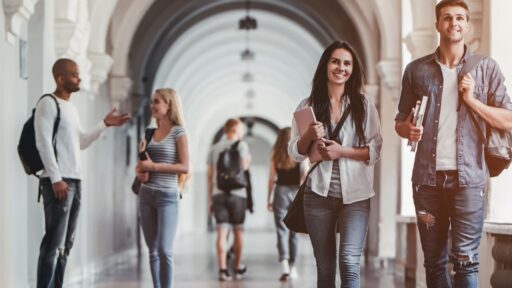 Higher education institutions