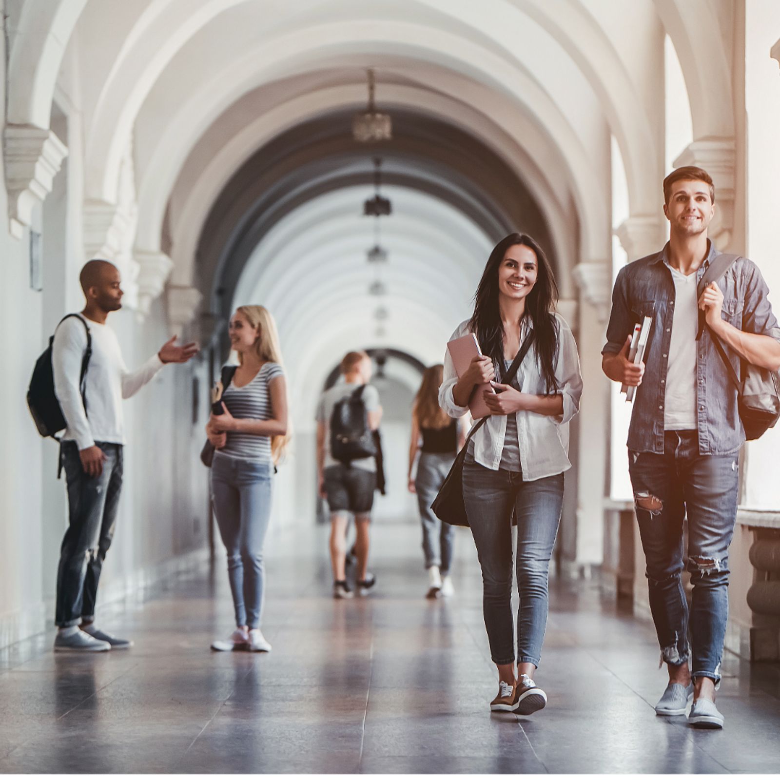 Higher education institutions